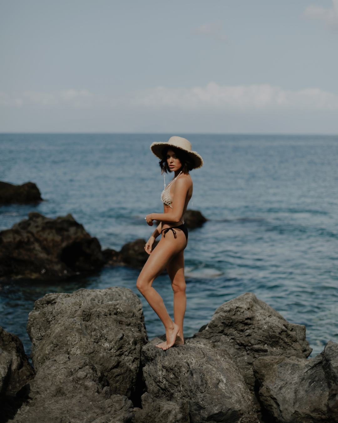 The Waikiki - Seashell