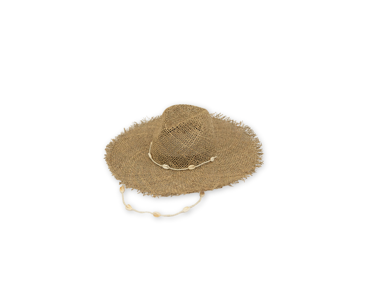 The Bondi - Seashell