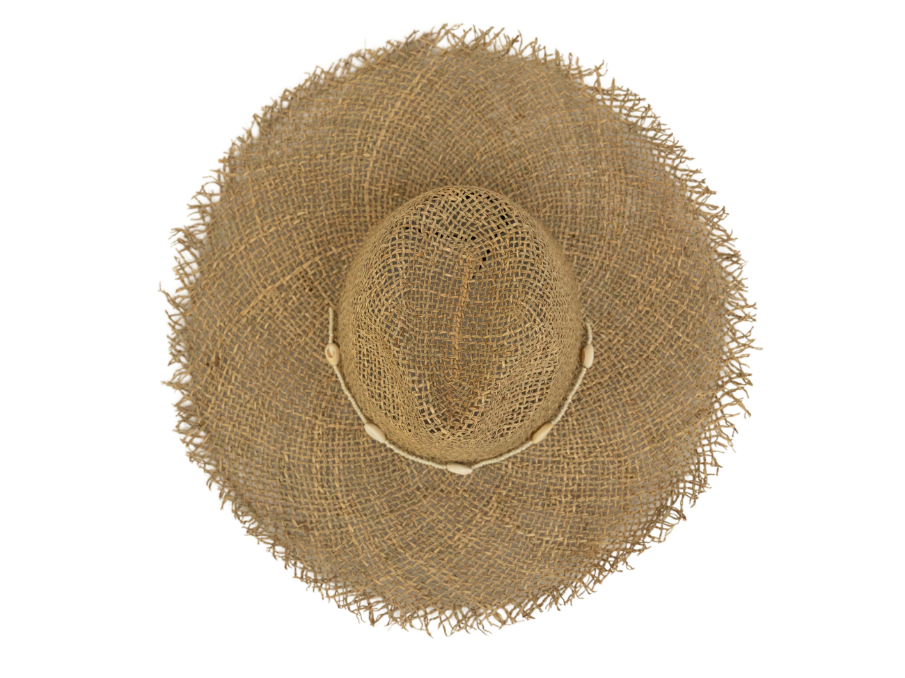 The Bondi - Seashell
