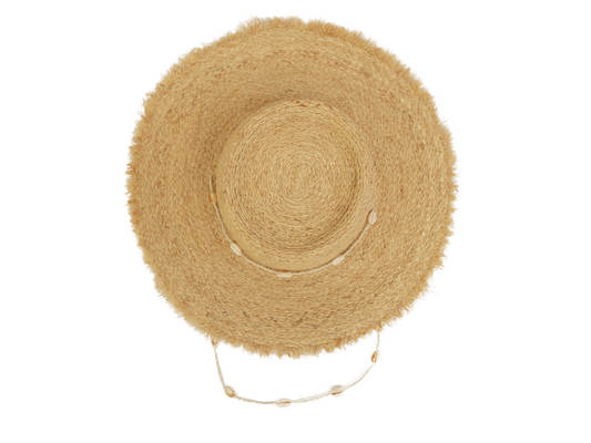 The Waikiki - Seashell