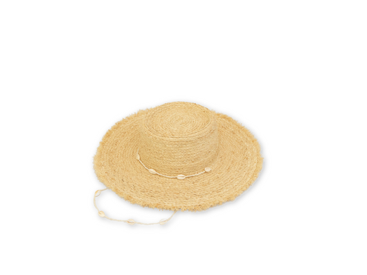 The Waikiki - Seashell